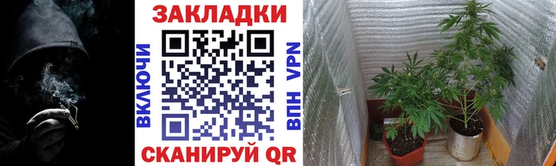 Купить закладку Бошки Шишки  Меф мяу мяу  ГАШ  Углегорск