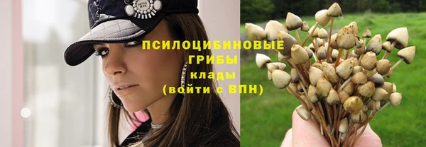 мяу мяу кристалл Покачи