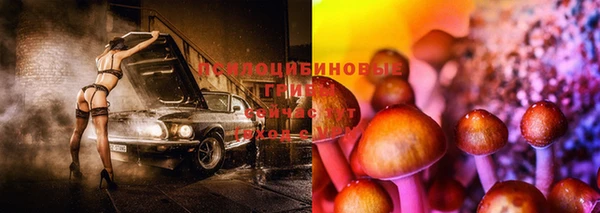эйфоретик Покровск